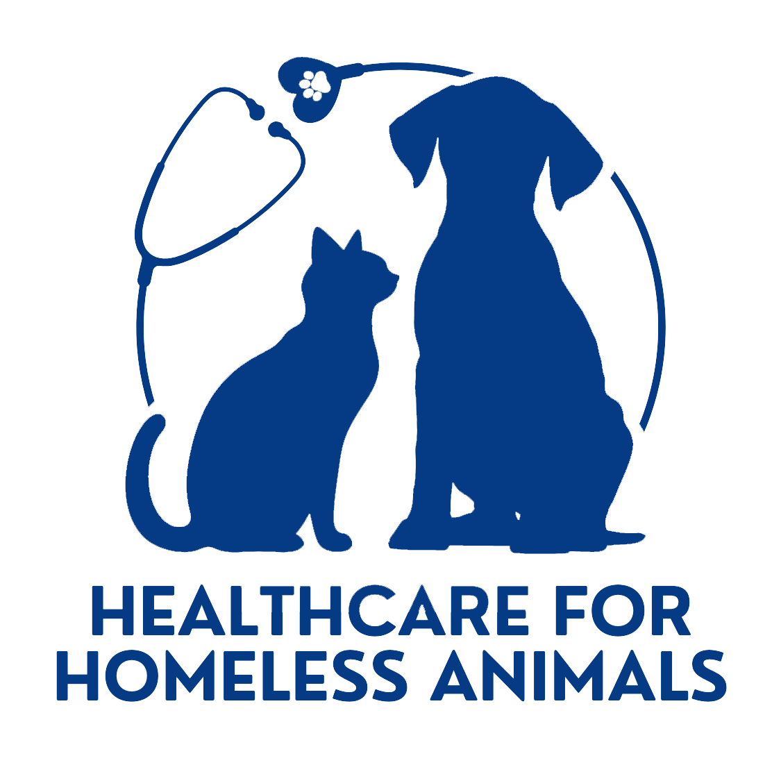 Healthcare for Homeless Animals