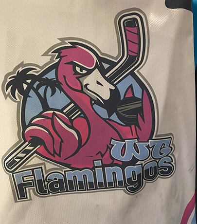 WTFlamingos logo