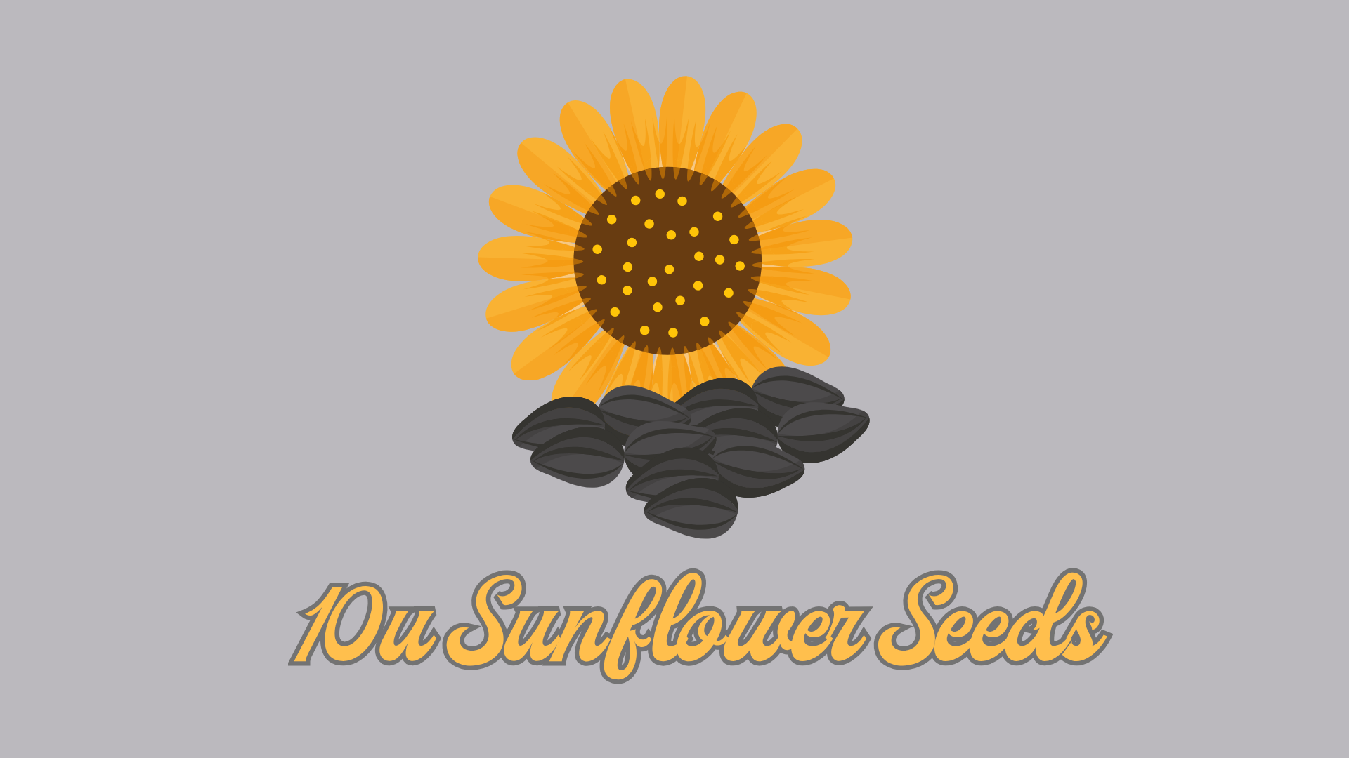 MINOR A SB SUNFLOWER SEEDS logo