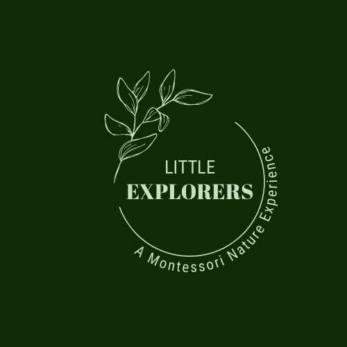 Little Explorers: A Montessori Nature Experience