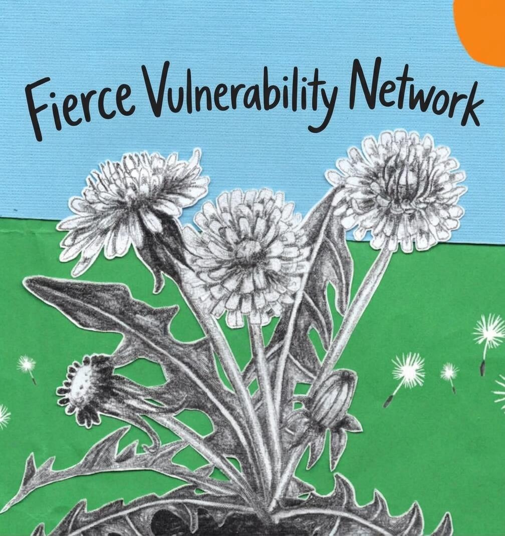 Fierce Vulnerability Network