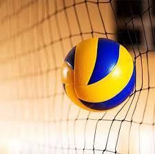 Volleyball logo