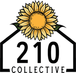 210 Collective