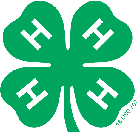 New Hampshire 4-H Association