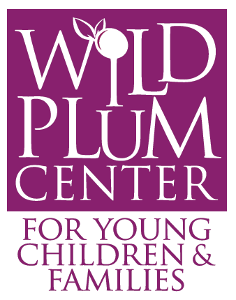 Wild Plum Center for Young Children and Families Inc