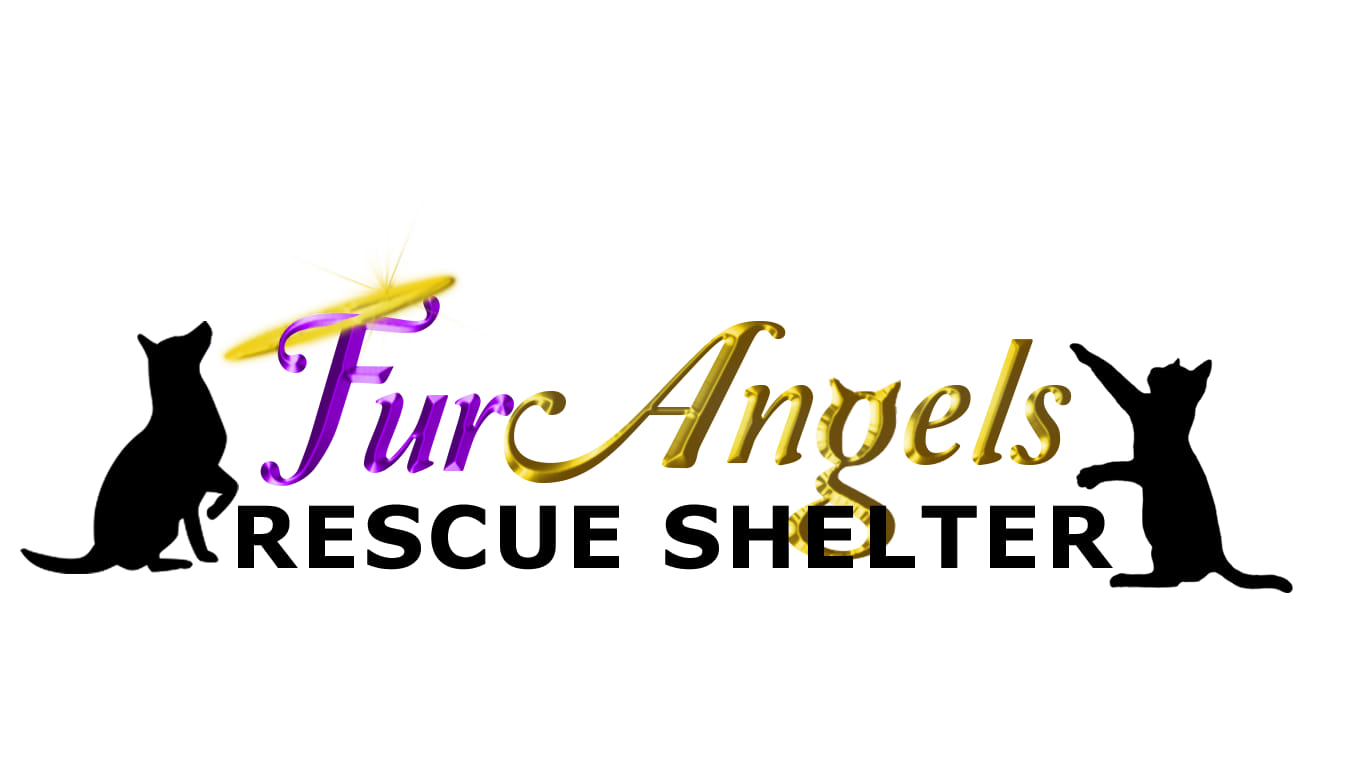Fur Angels Rescue Shelter