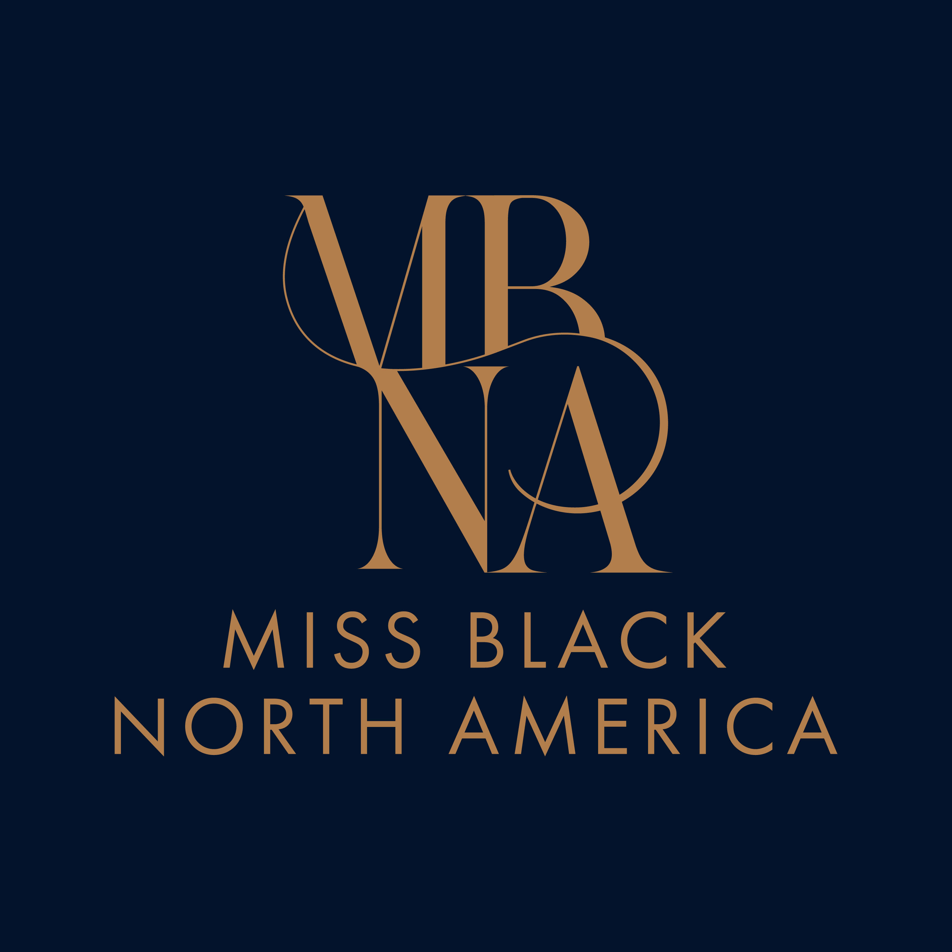 Miss Black North America Grant Foundation Inc