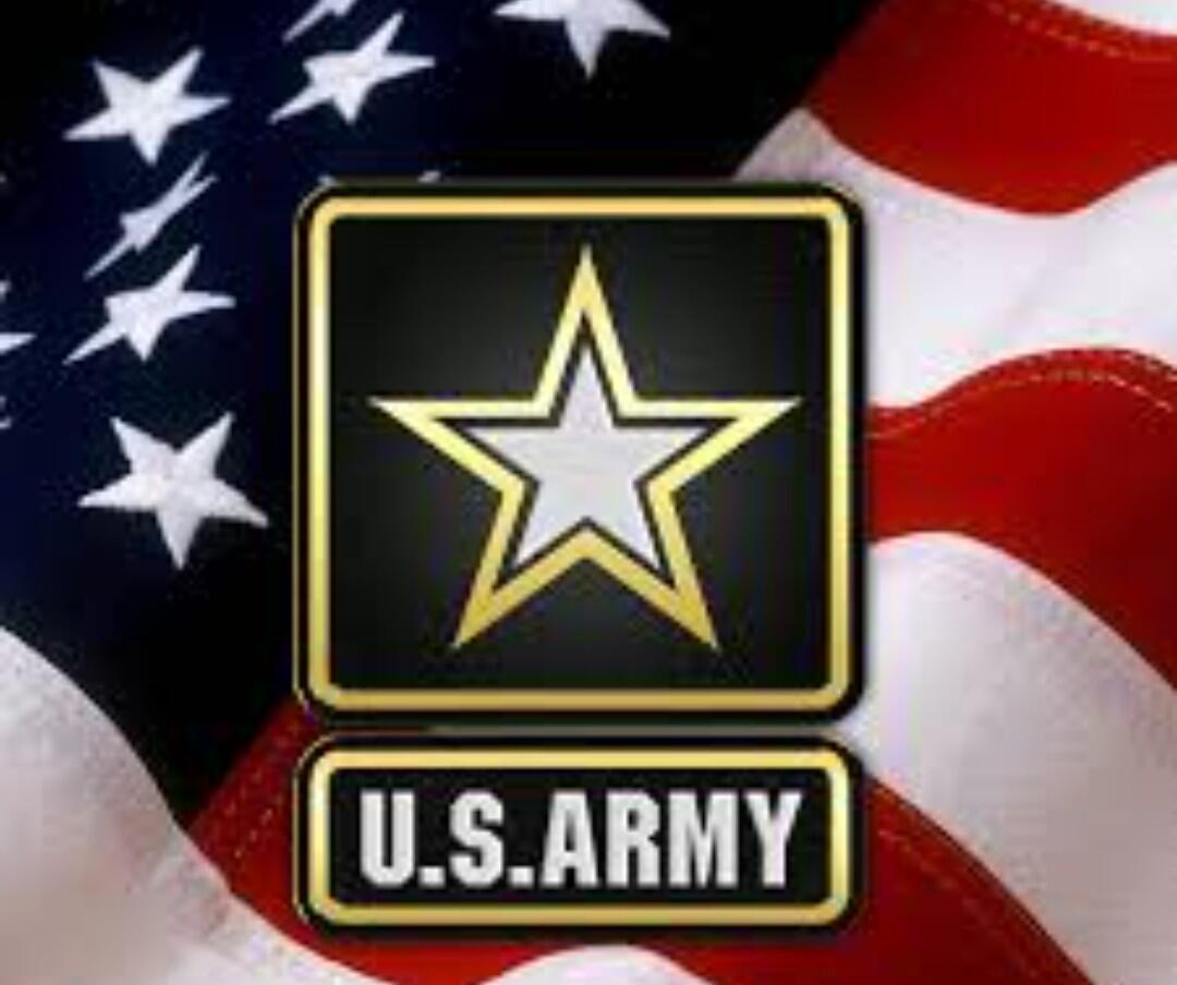 Team Army logo