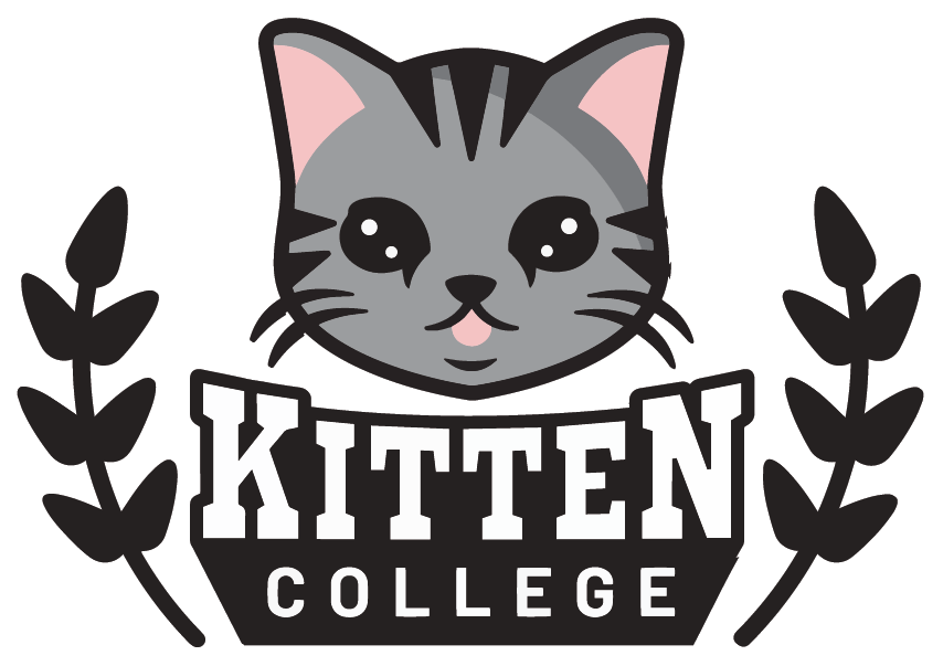 National Kitten College