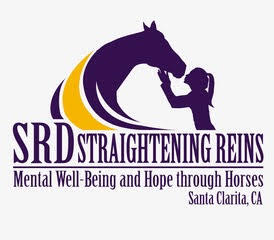 SRD-STRAIGHTENING REINS FOUNDATION