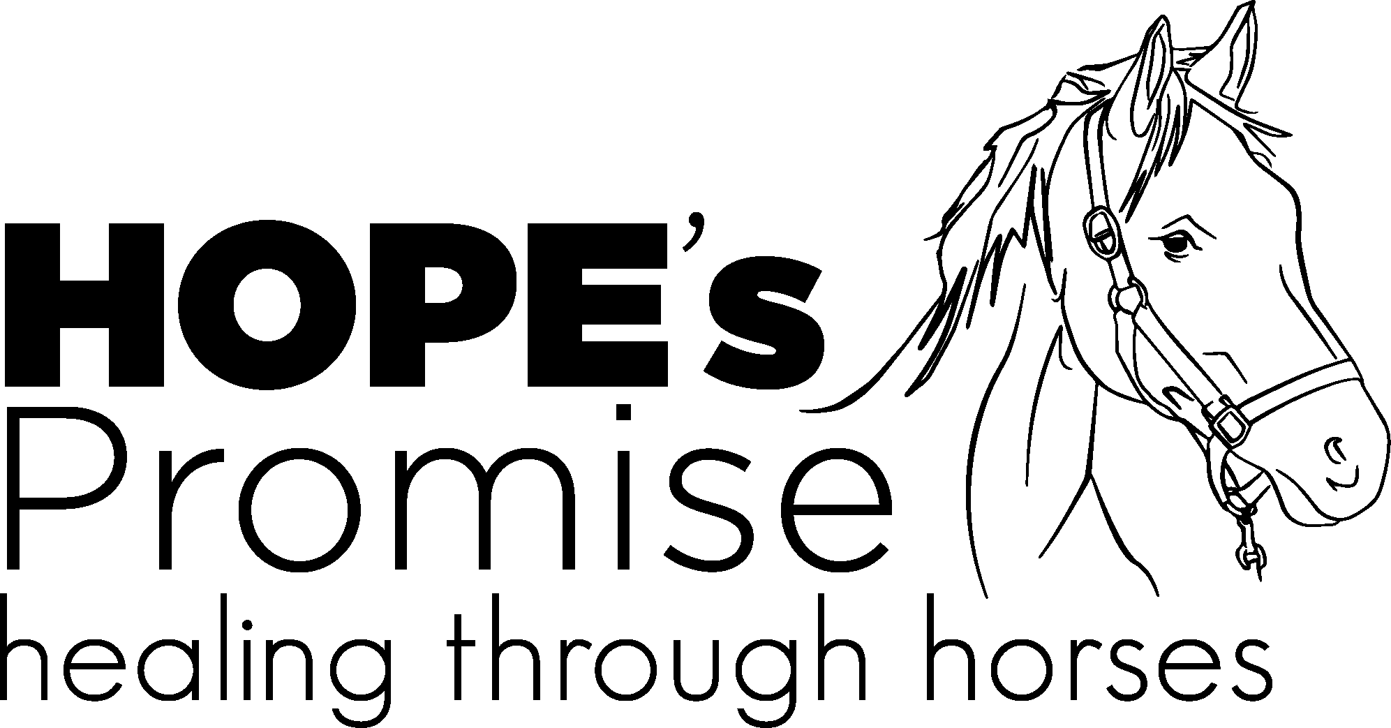 Hopes Promise Charitable Fund Inc