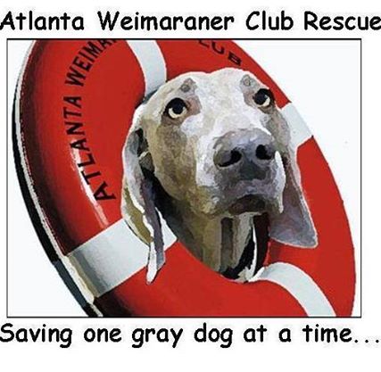 ATLANTA WEIMARANER CLUB INC