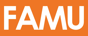 Orange Team logo