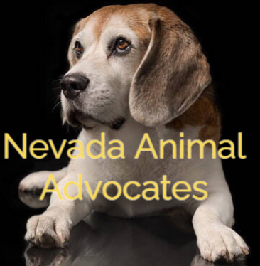 Nevada Animal Advocates