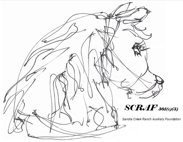 SANDIA CREEK RANCH AUXILIARY FOUNDATION