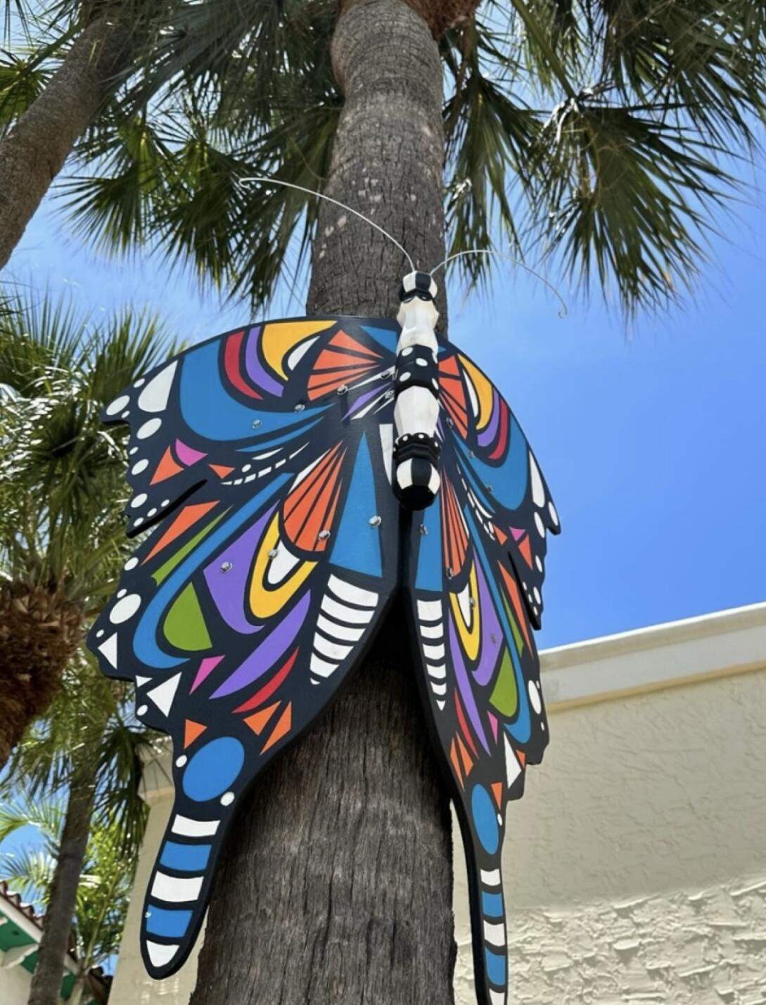 The Butterfly Connection