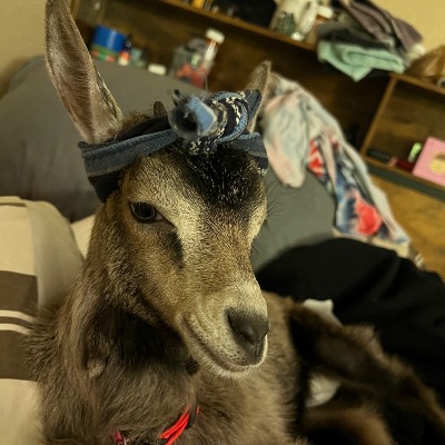 Willow Reigel avatar