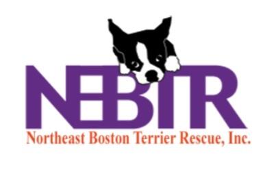 Northeast Boston Terrier Rescue Inc