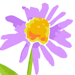 Aster Montessori School Inc