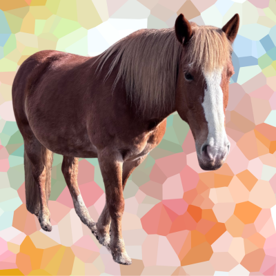 HORSES logo