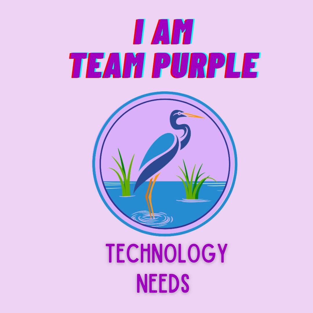Team Technology logo