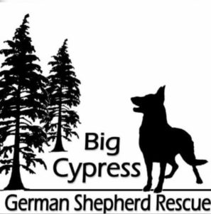 Big Cypress German Shepherd Rescue Inc