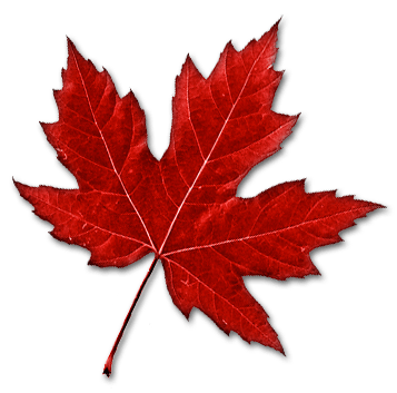 Team Canada logo