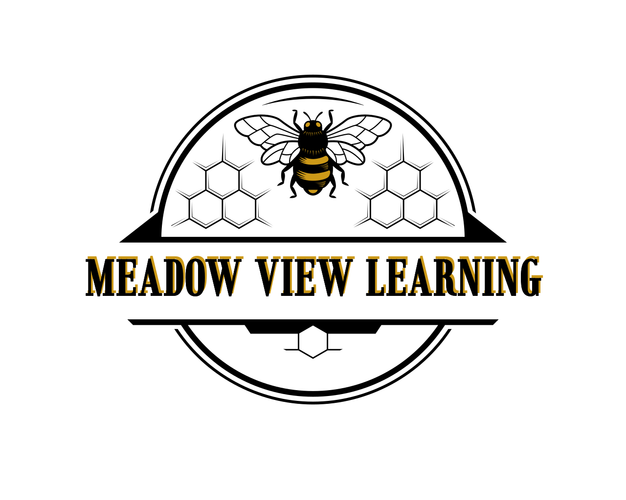 Meadow View Learning
