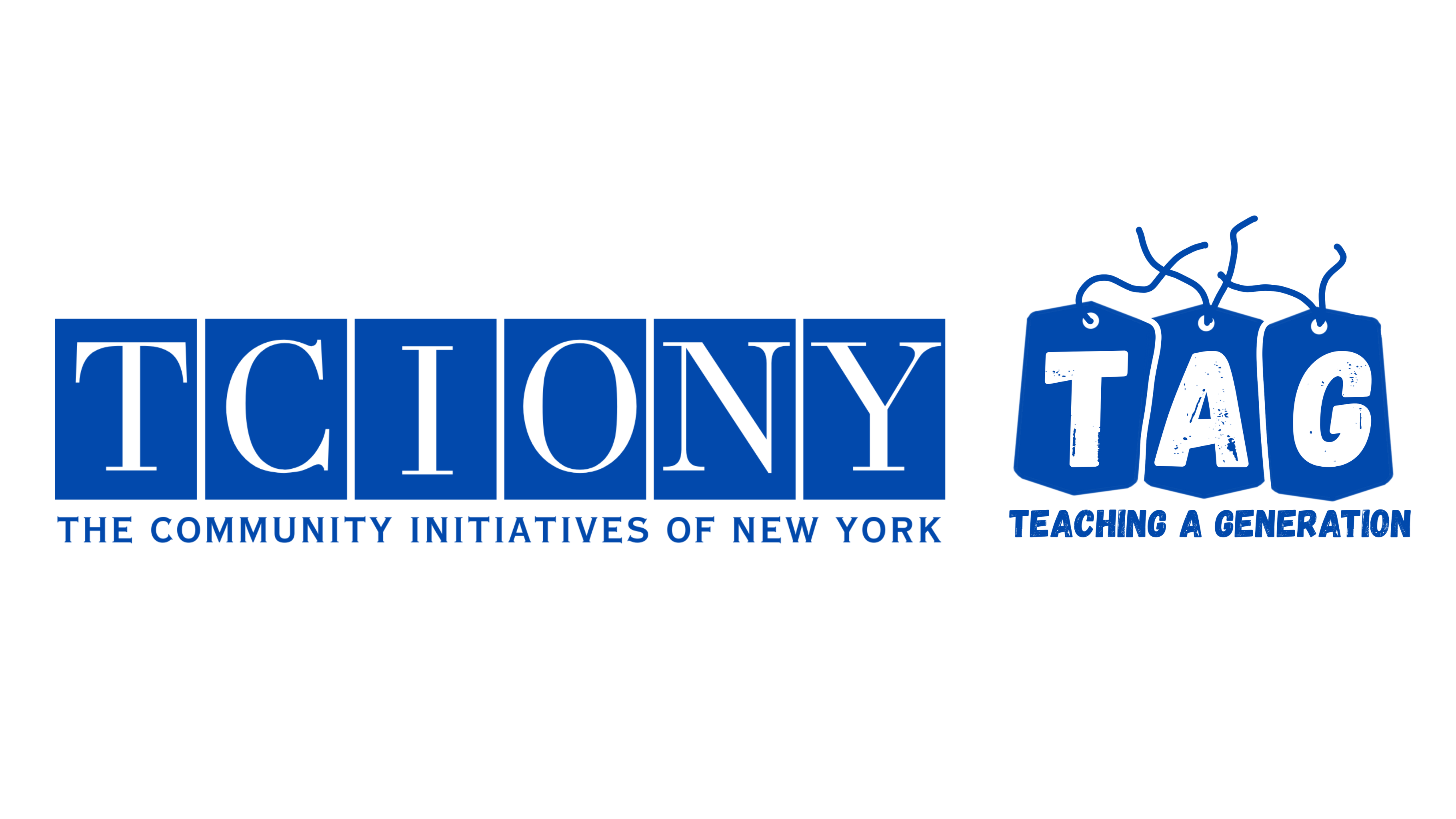 The Community Initiative of NY