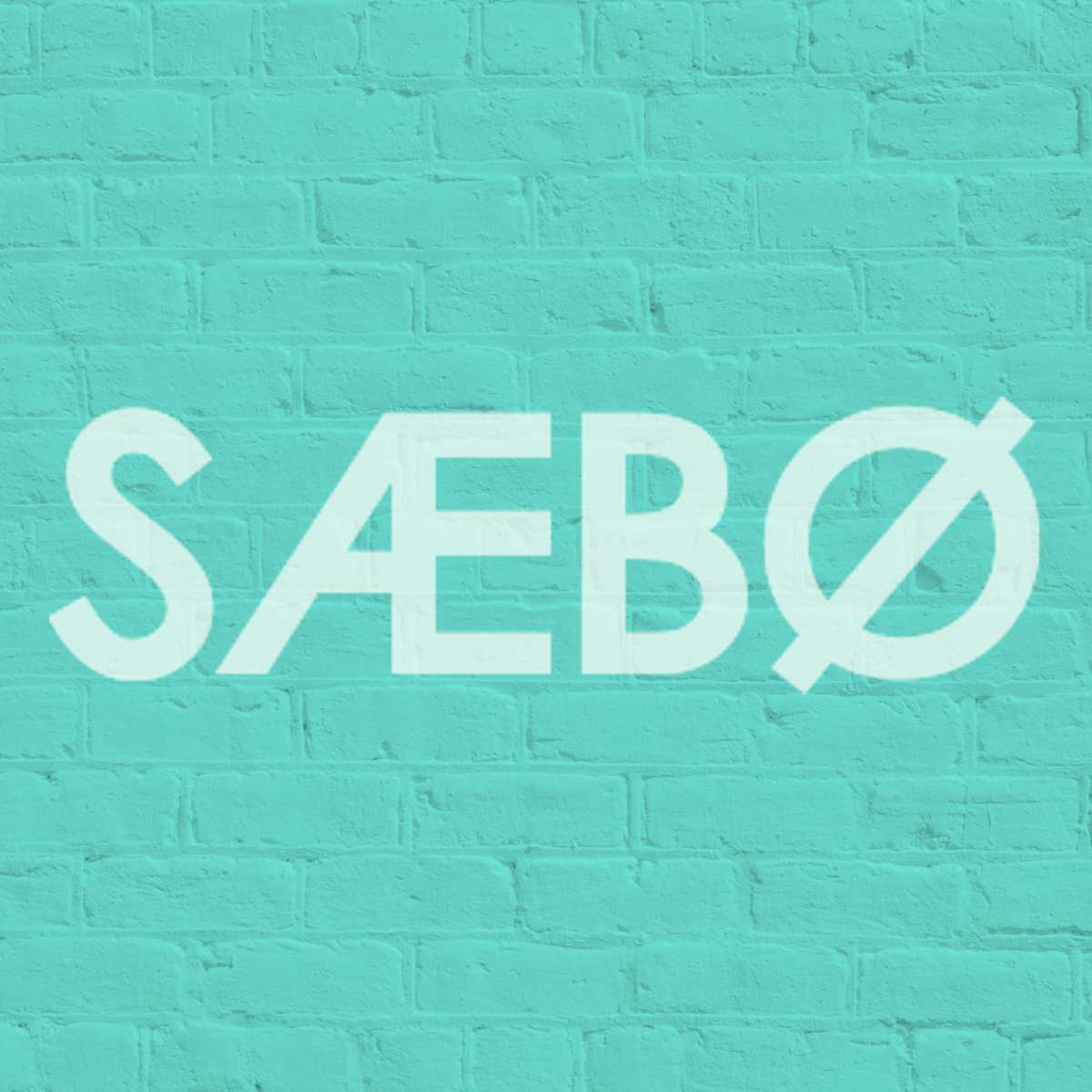 SAEBO ARTS INC
