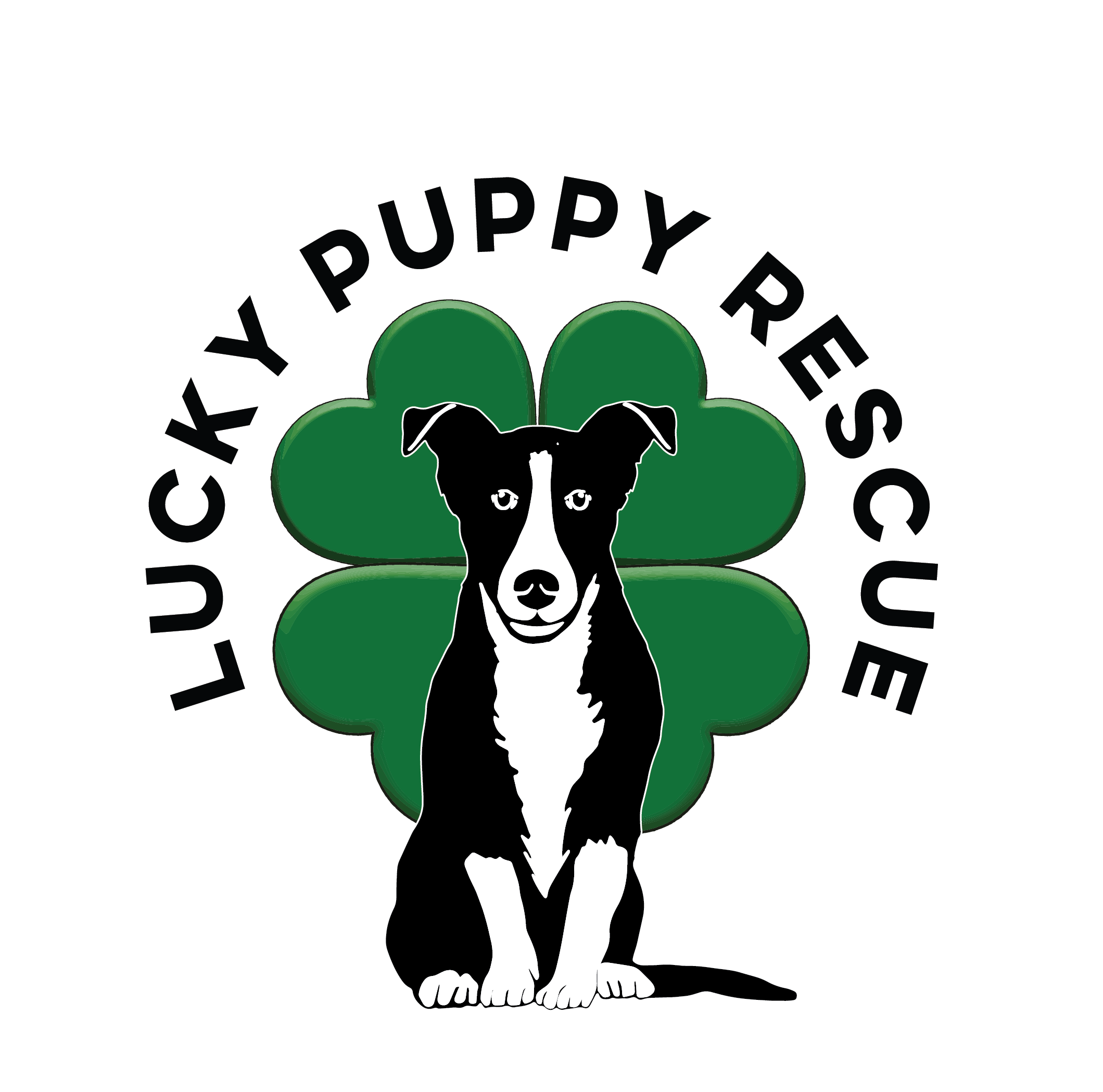 Lucky Puppy Dog Rescue & Kennel Inc