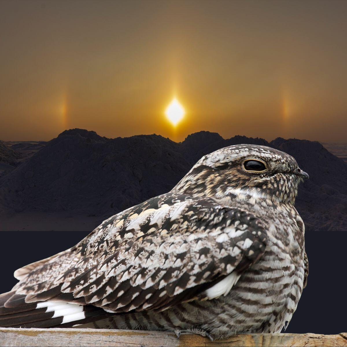 NEMS Minneapolis Community