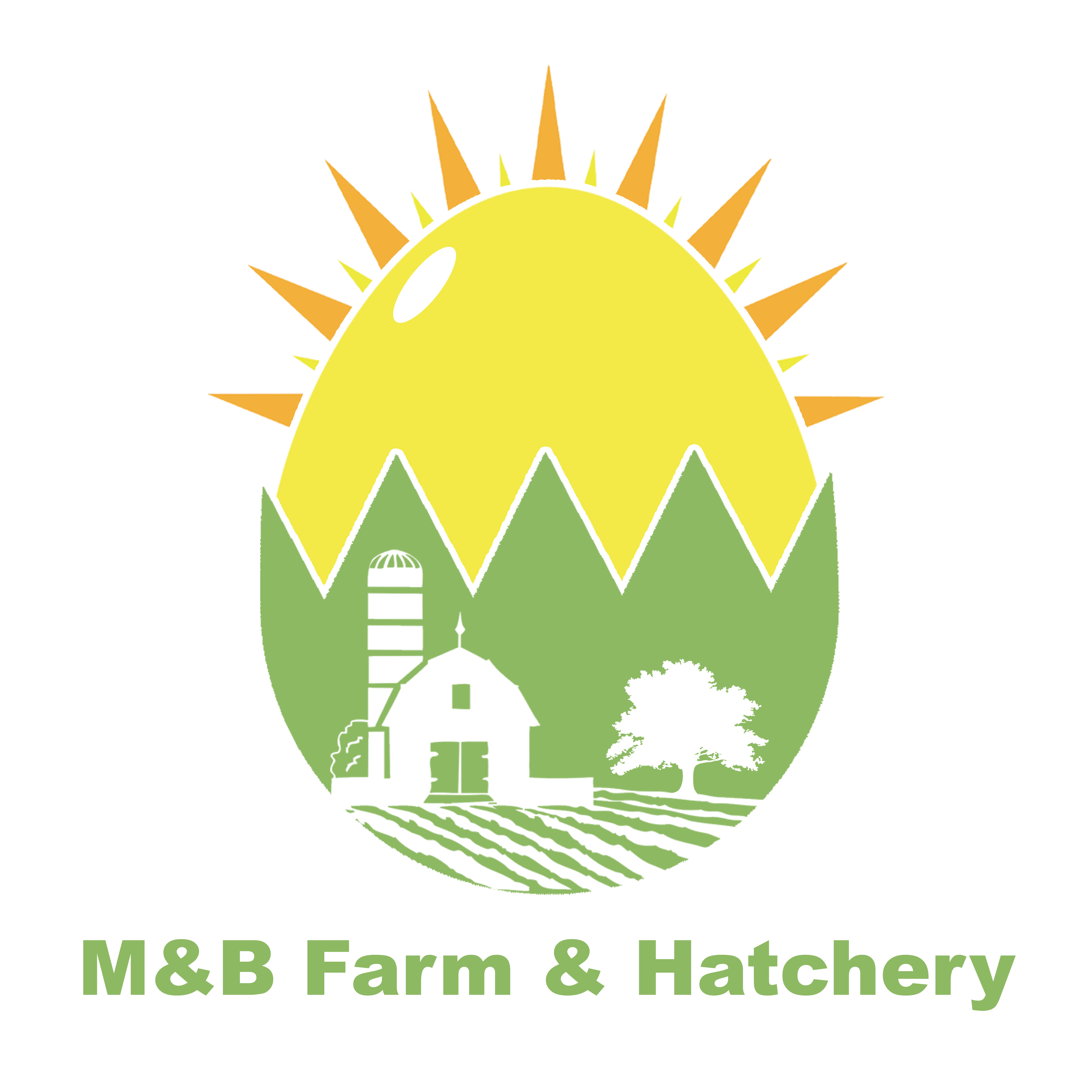 M&B Farm & Hatchery Inc