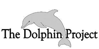 The Dolphin Project