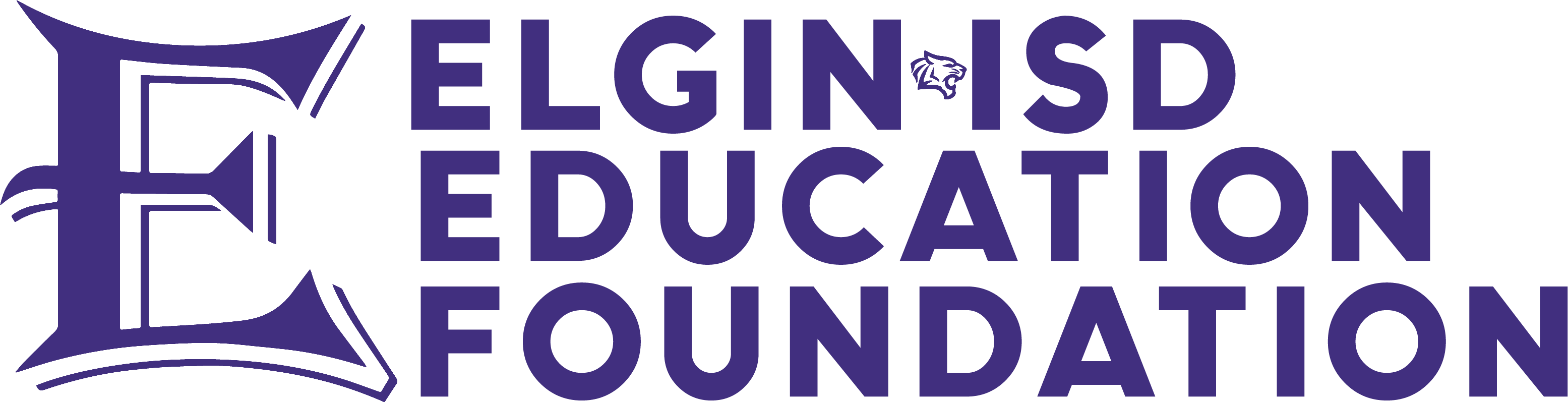 Elgin Isd Education Foundation Inc
