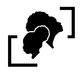 Michael Burton Scholars Foundation