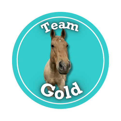 Team Gold logo