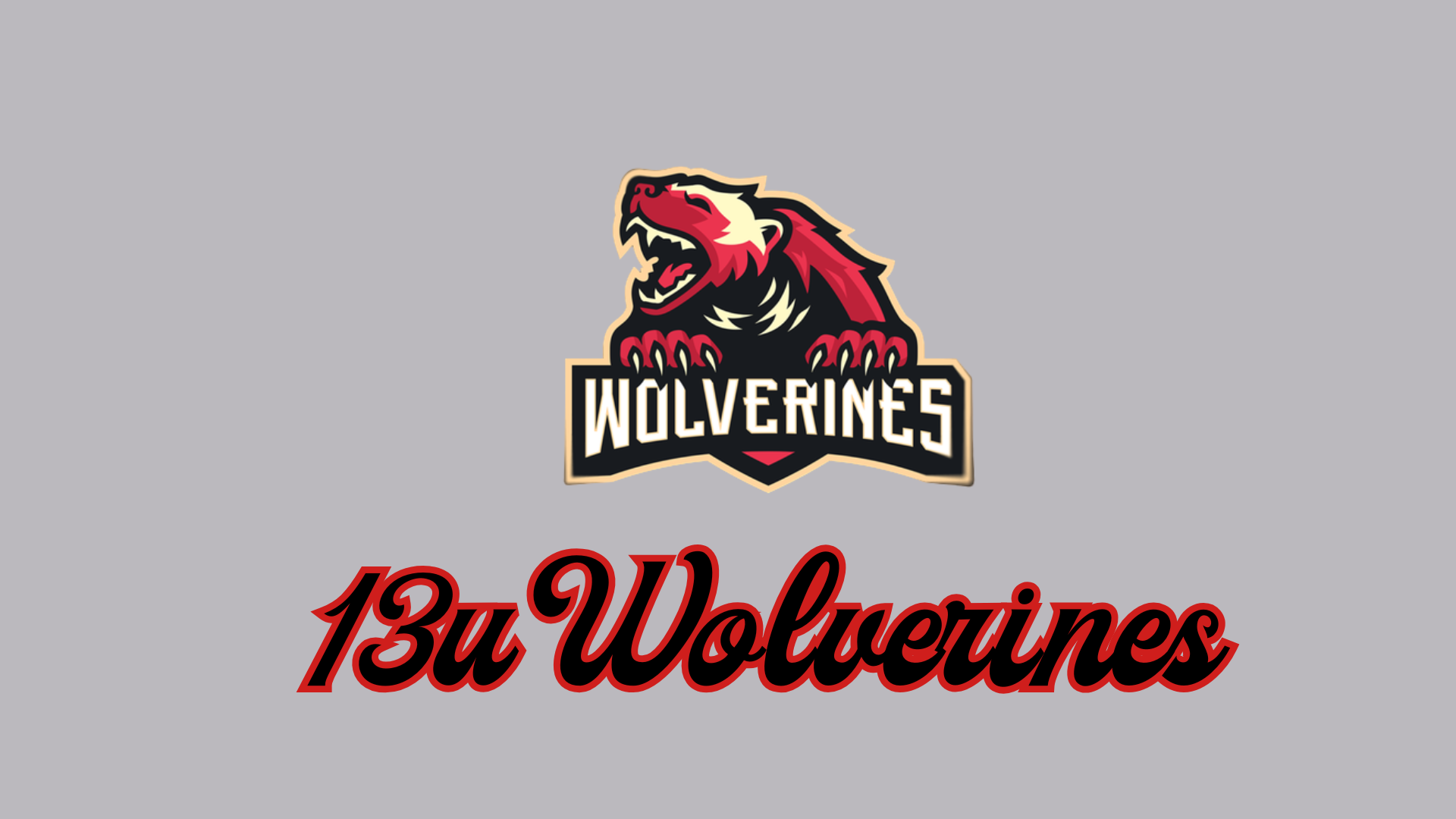 13U WOLVERINES logo