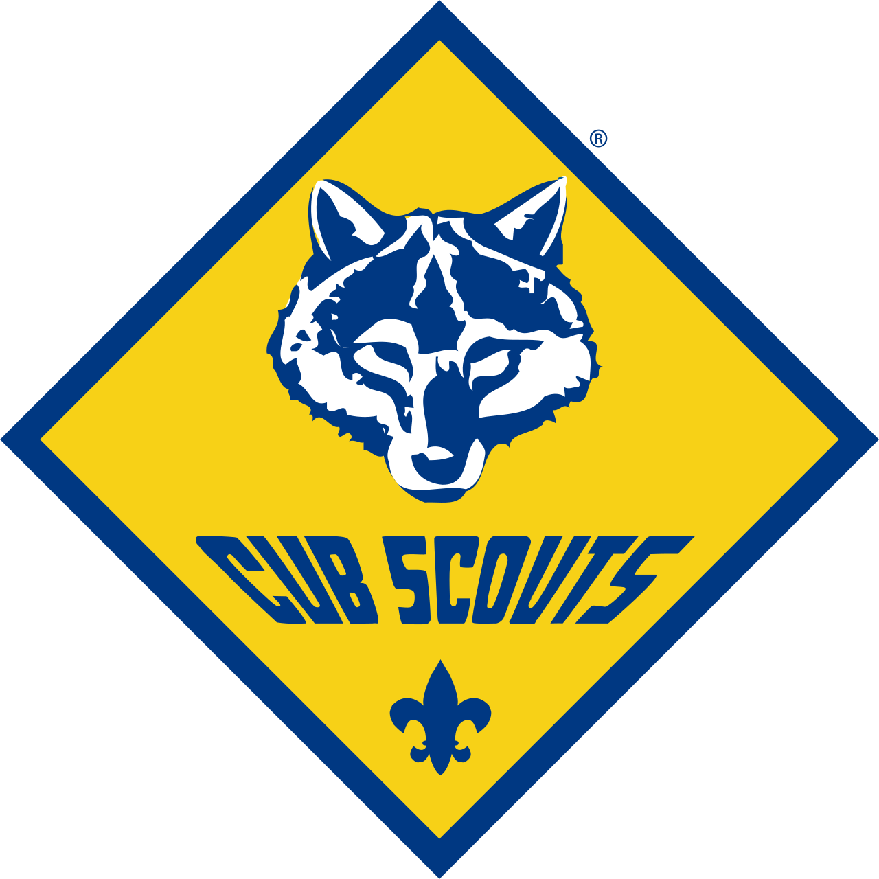 Cub Scout Pack 673
