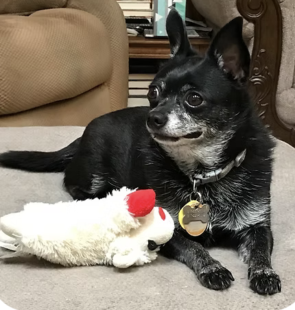 Poqutia | Best Rescue Story | Betty Woods logo