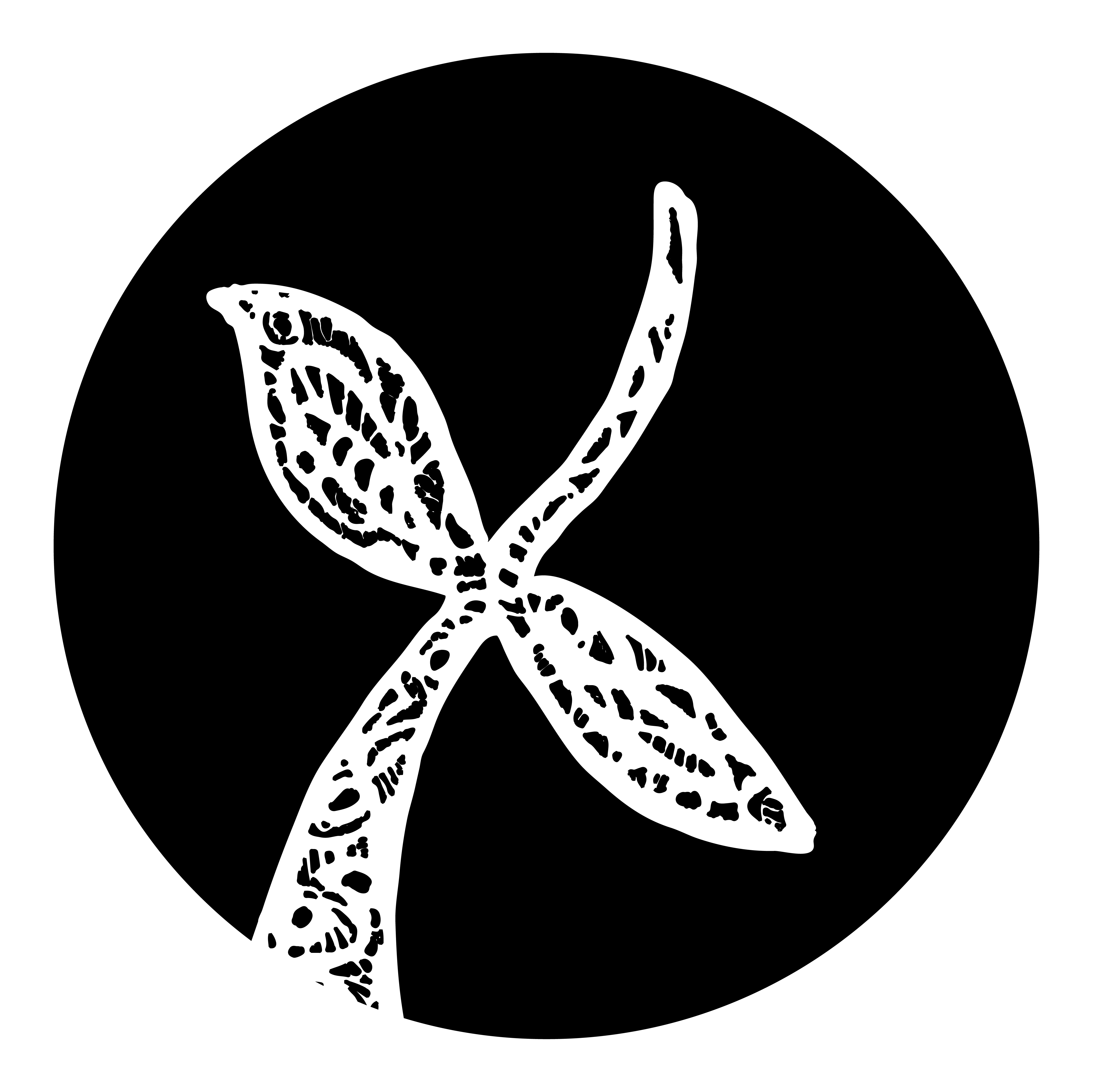 Cortada Foundation Inc