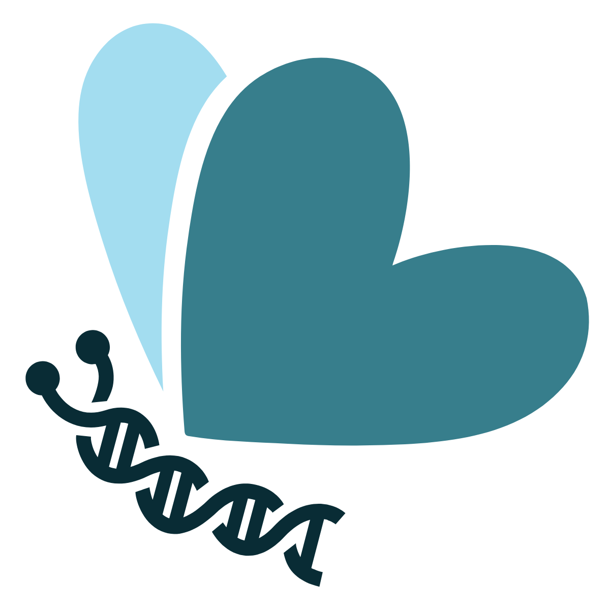 Cockayne Syndrome Foundation