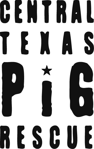Central Texas Pig Rescue