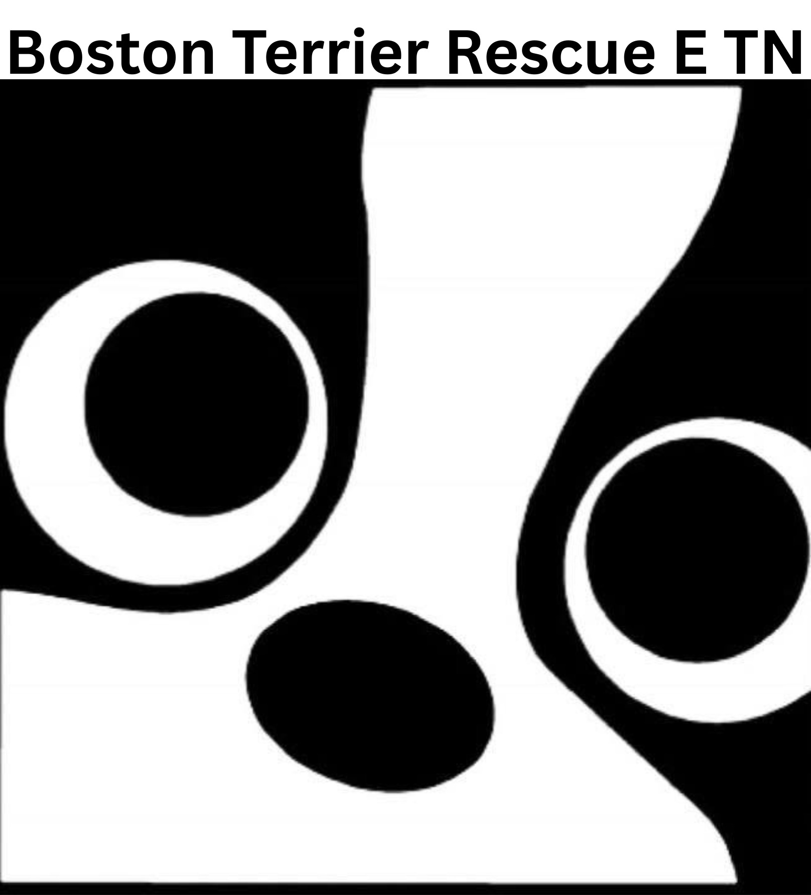 BOSTON TERRIER RESCUE OF EAST TENNESSEE