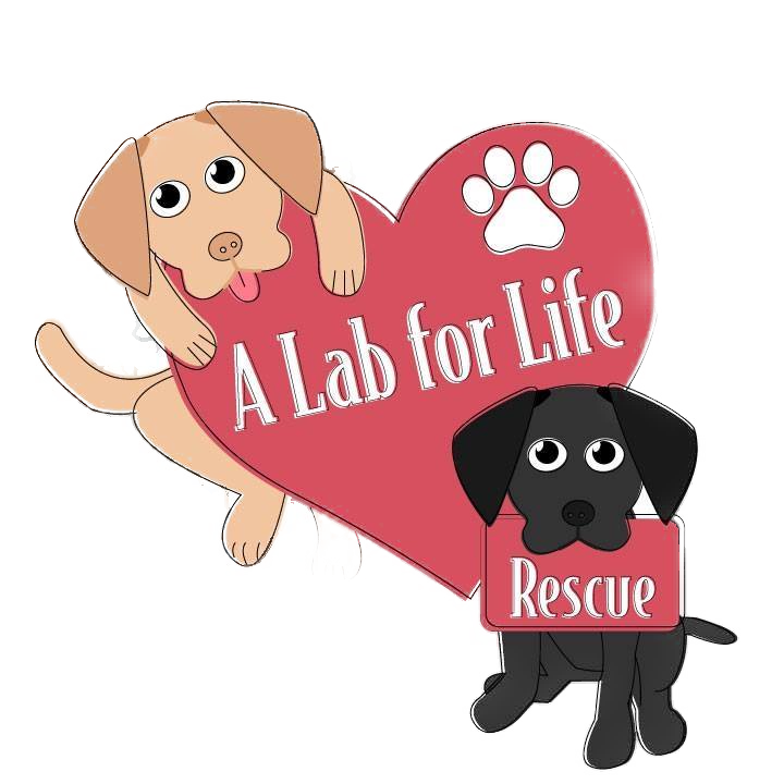A Lab for Life