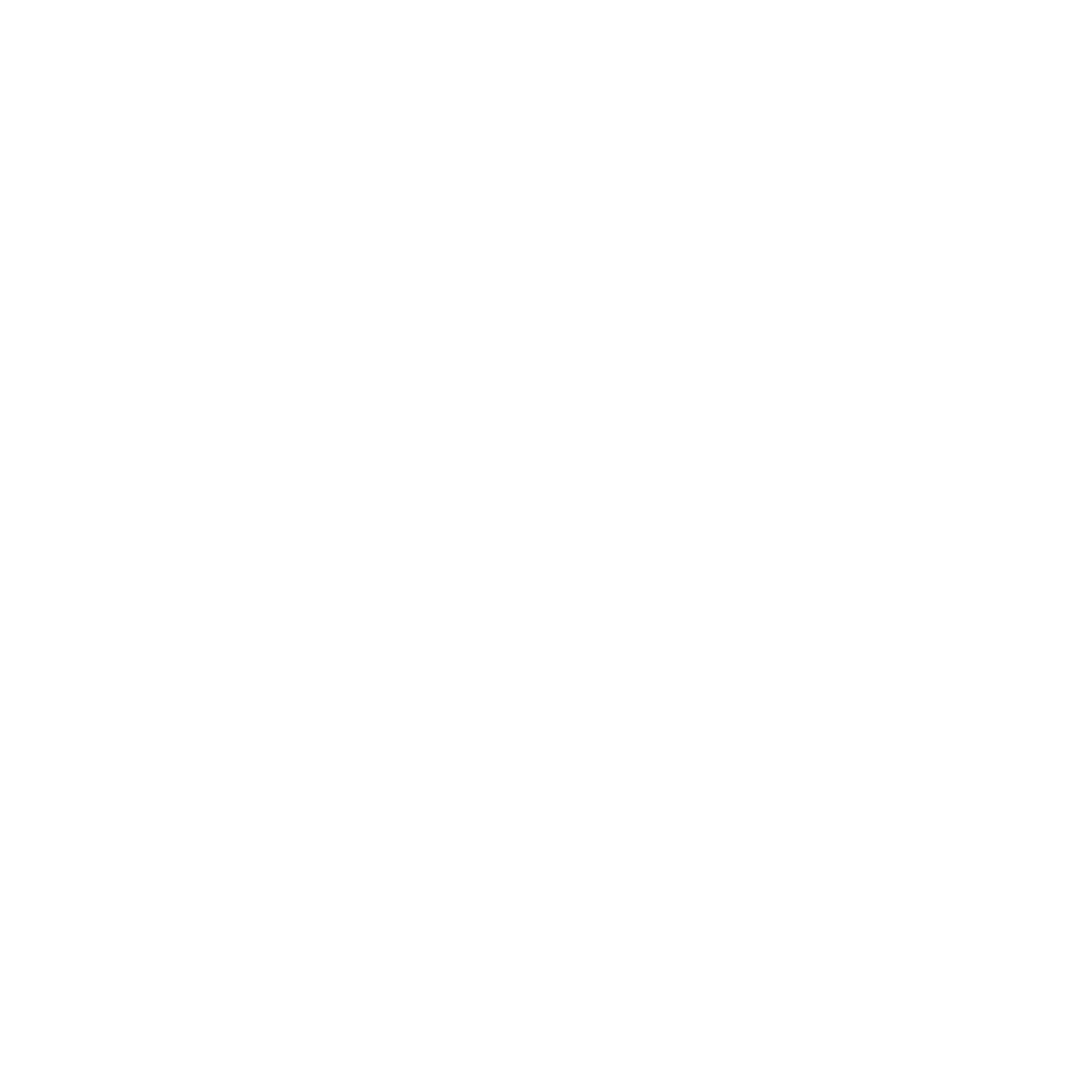 The Brave Center