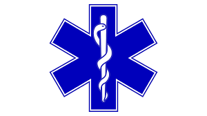 EMS logo