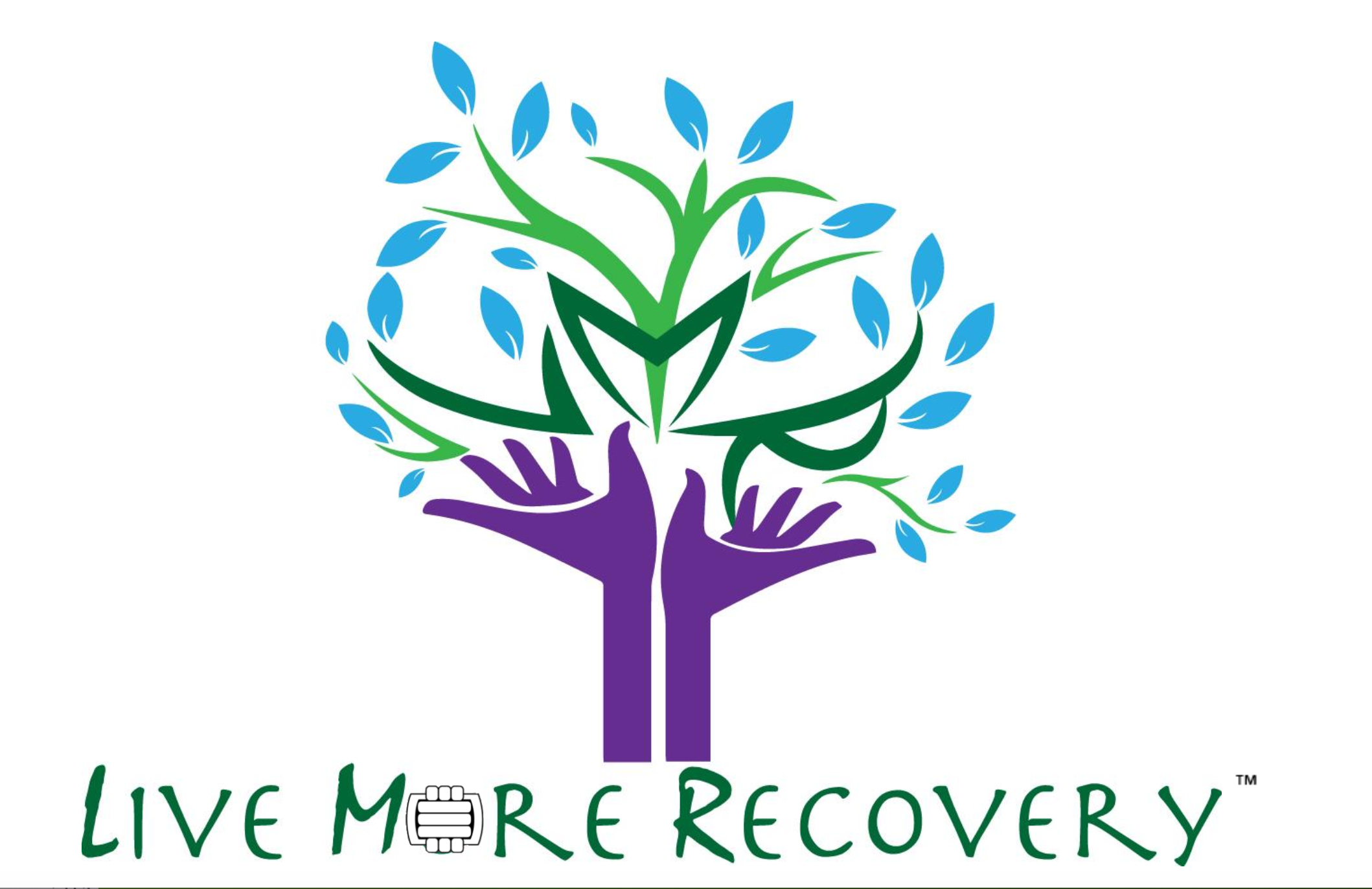 Live More Recovery Services Inc