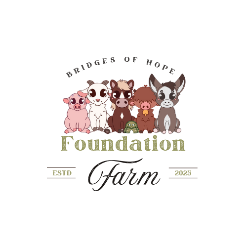 Bridges of Hope Farm Foundation