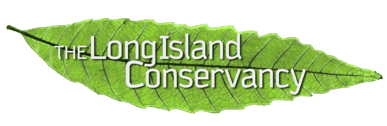 Long Island Conservancy Foundation, Inc